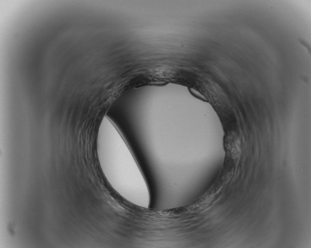 X0000097300235200802151130
