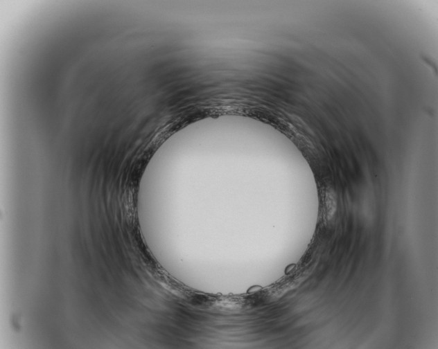 X0000097300236200802151130