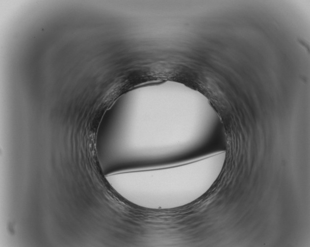 X0000097300237200802151130
