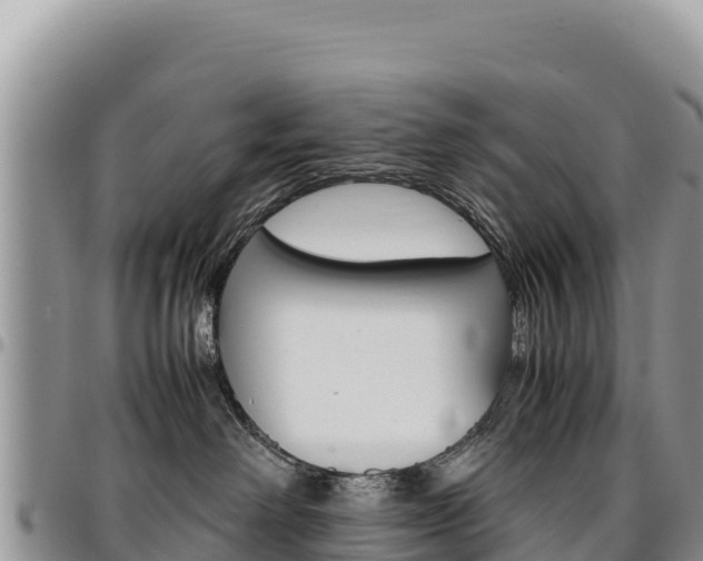 X0000097300238200802151130