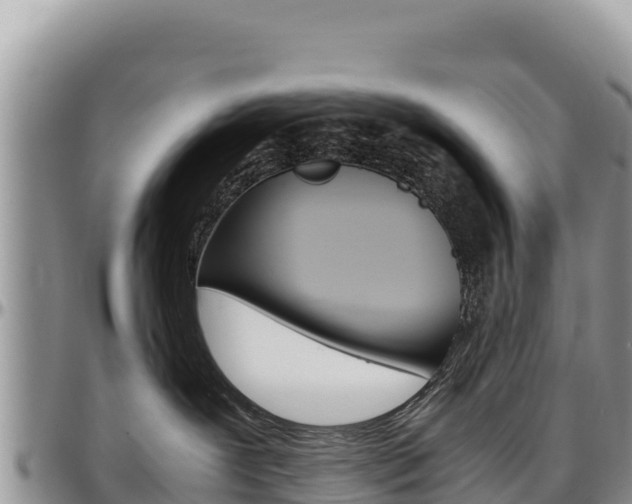 X0000097300239200802151130