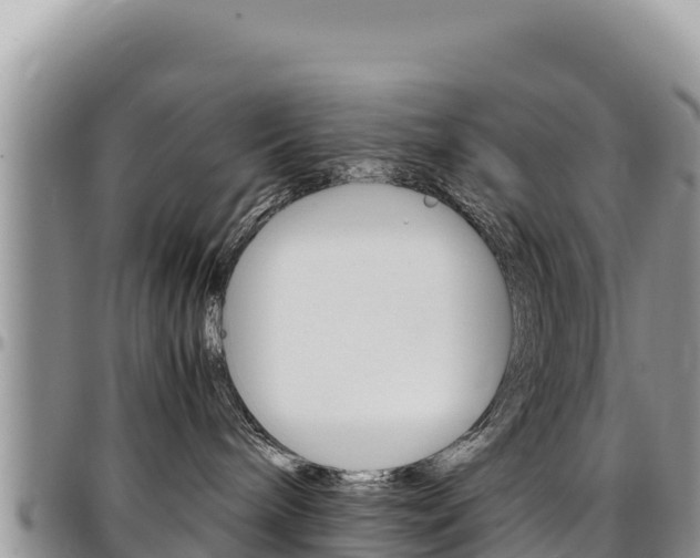 X0000097300240200802151130