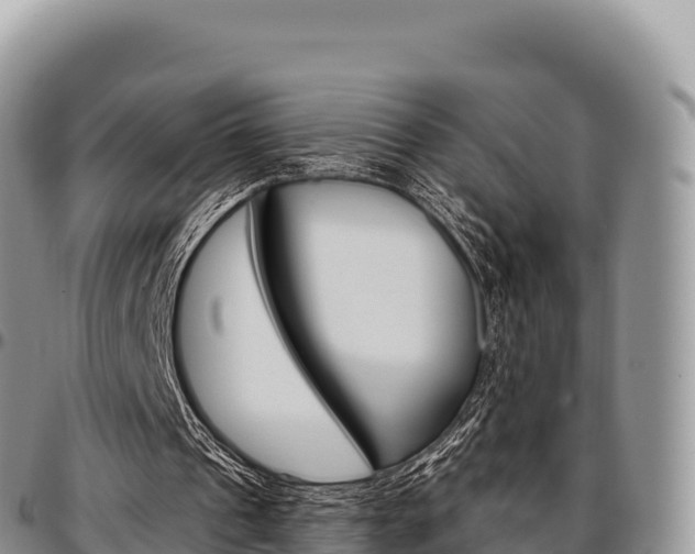X0000097300241200802151129
