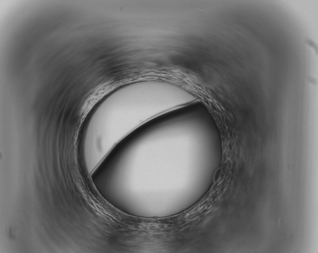 X0000097300242200802151129