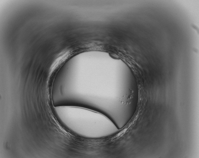 X0000097300245200802151129