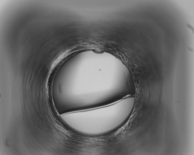 X0000097300246200802151129
