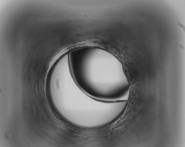 X0000097300248200802151129
