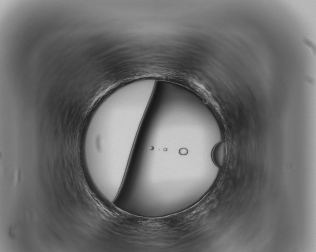 X0000097300249200802151129