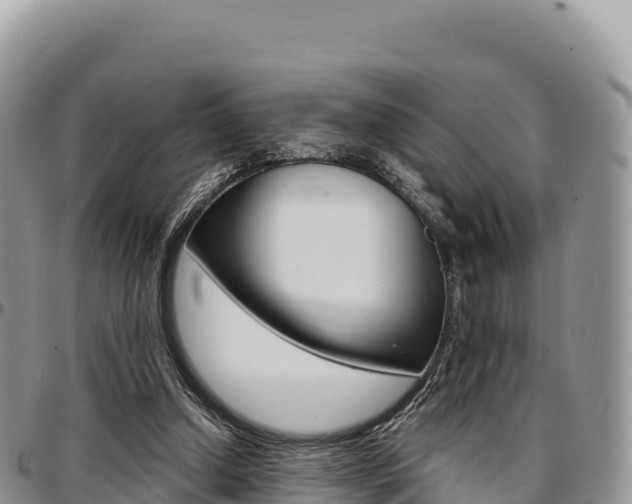 X0000097300250200802151129