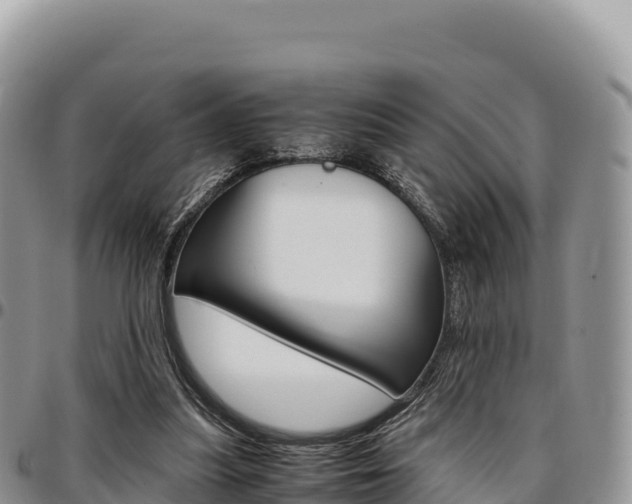 X0000097300251200802151129