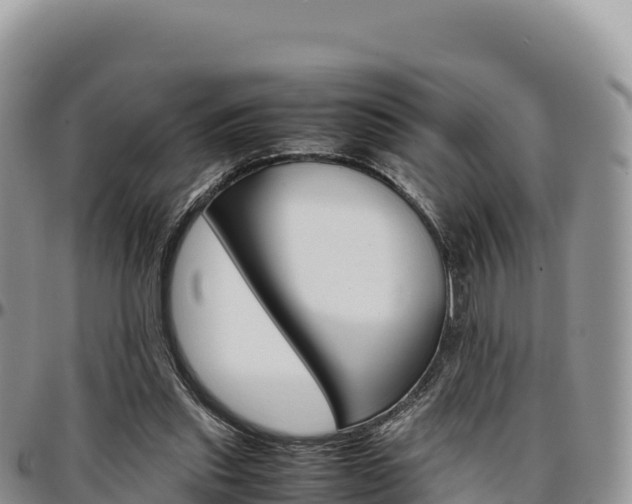 X0000097300253200802151129