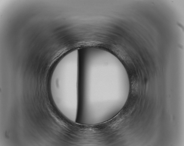 X0000097300254200802151129