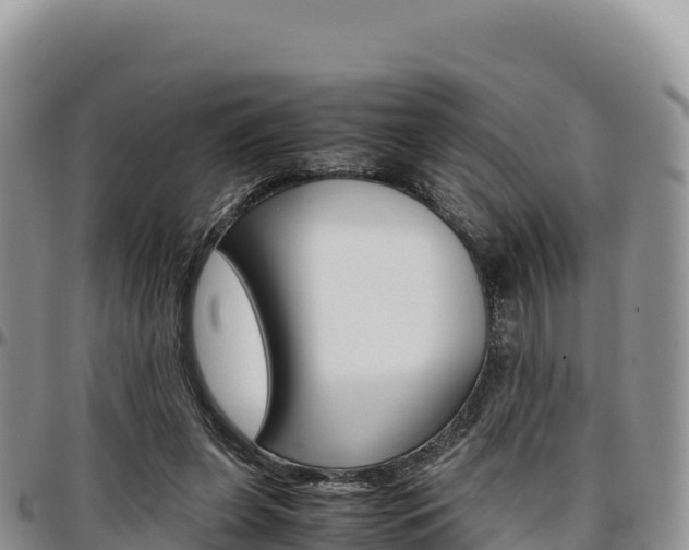 X0000097300255200802151129