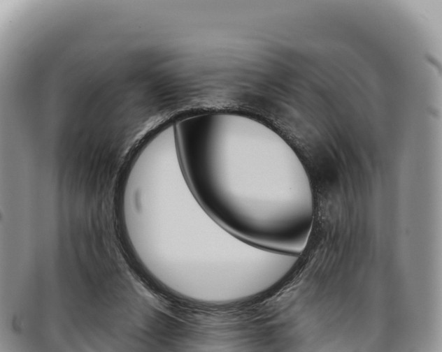 X0000097300256200802151129