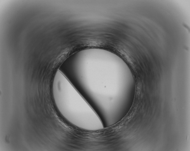 X0000097300257200802151129