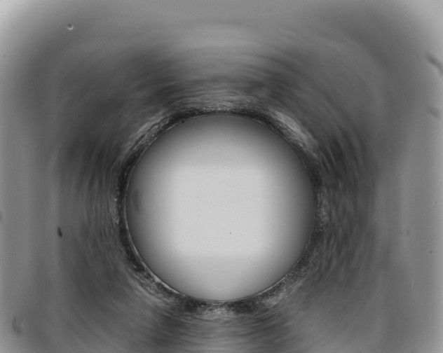 X0000097300258200802151129