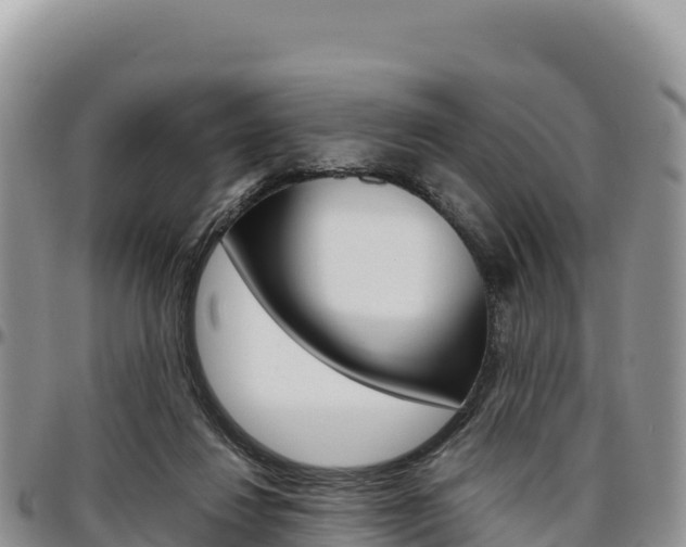 X0000097300260200802151129