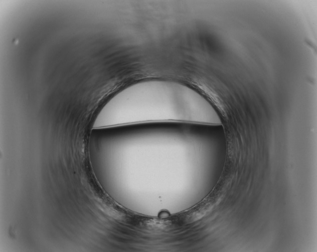X0000097300261200802151129