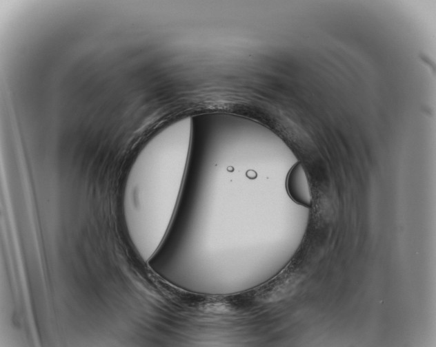 X0000097300262200802151129