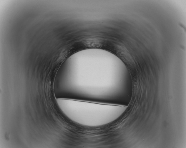 X0000097300263200802151129