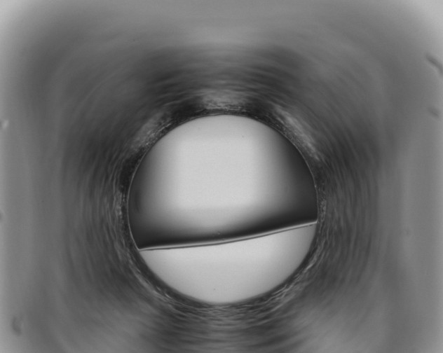 X0000097300265200802151129
