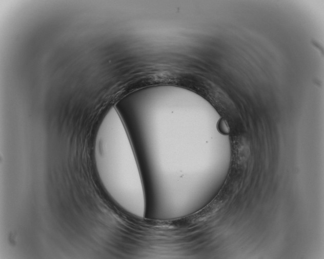 X0000097300266200802151129