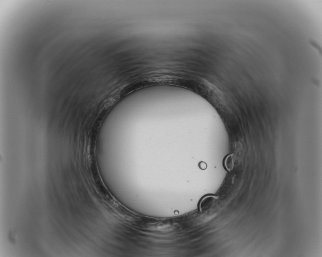 X0000097300267200802151129