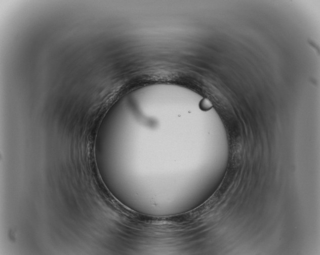 X0000097300268200802151129