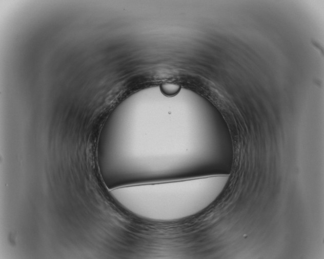 X0000097300270200802151129
