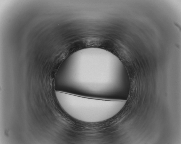 X0000097300271200802151129