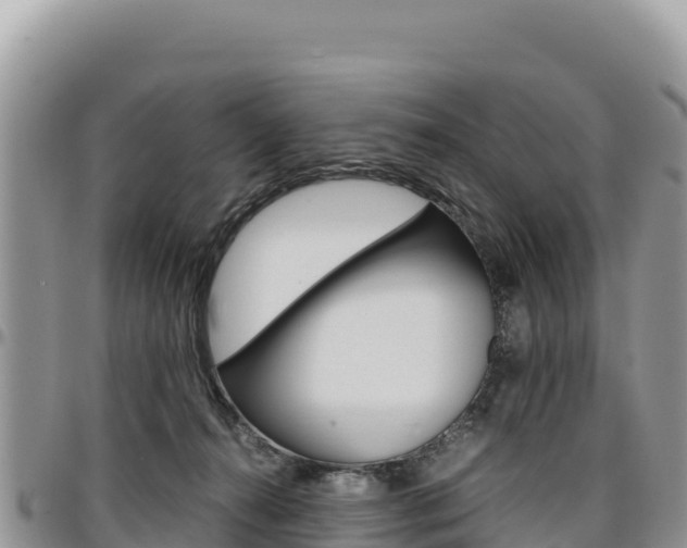 X0000097300272200802151129