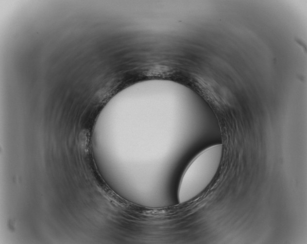 X0000097300273200802151129