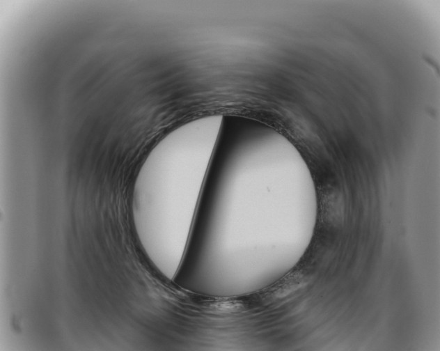 X0000097300274200802151129