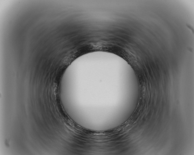 X0000097300275200802151129