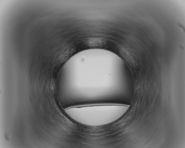 X0000097300277200802151129