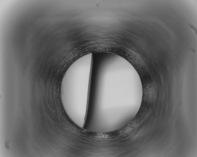X0000097300278200802151129
