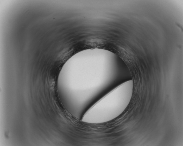 X0000097300279200802151129