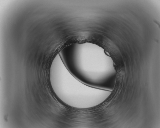 X0000097300280200802151129