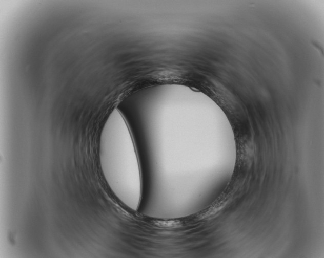 X0000097300281200802151129