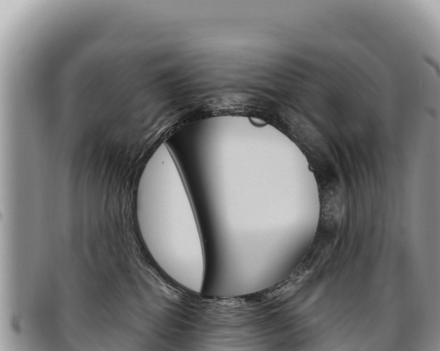 X0000097300282200802151130