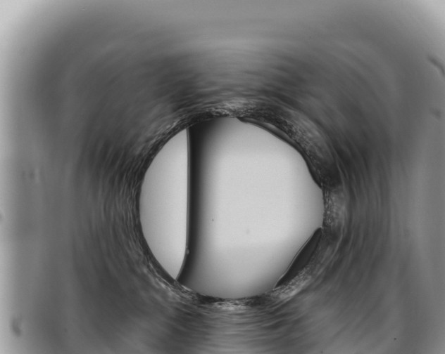 X0000097300284200802151130