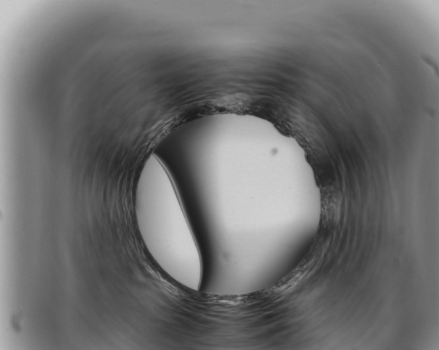 X0000097300285200802151130