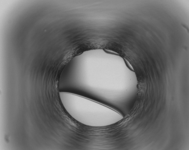 X0000097300286200802151130