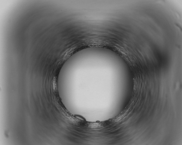 X0000097300287200802151130