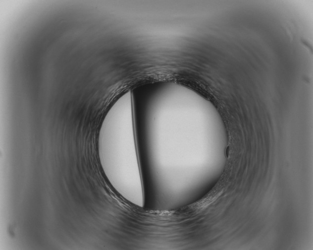 X0000097300288200802151130