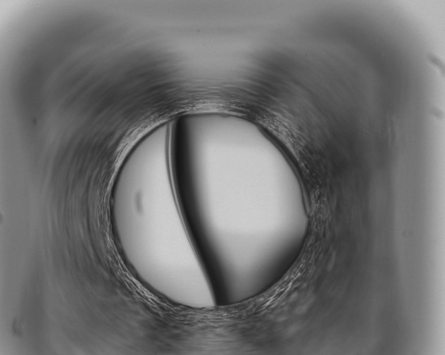 X0000097300289200802151129
