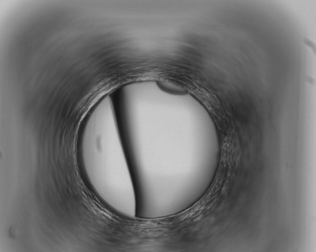 X0000097300290200802151129