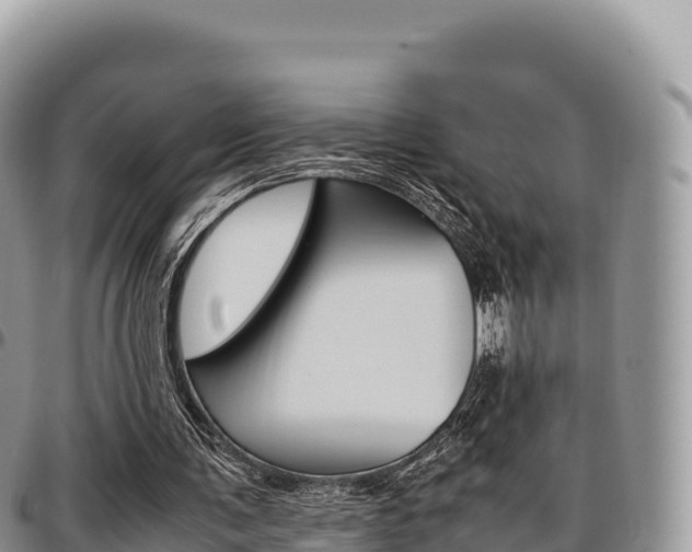 X0000097300291200802151129