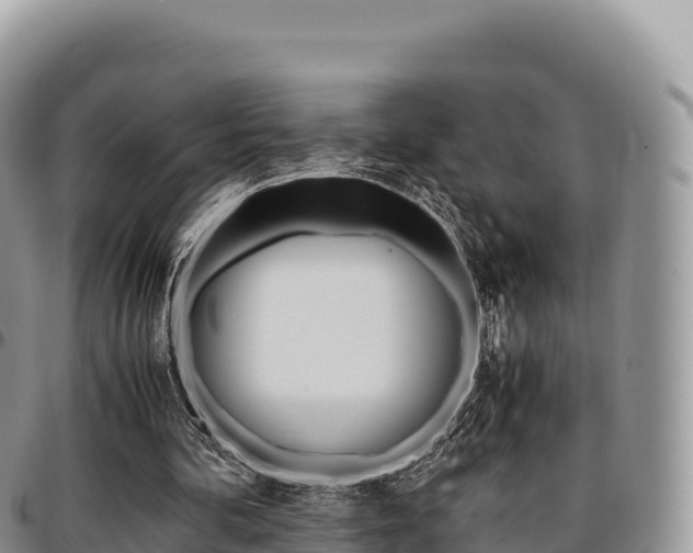 X0000097300292200802151129