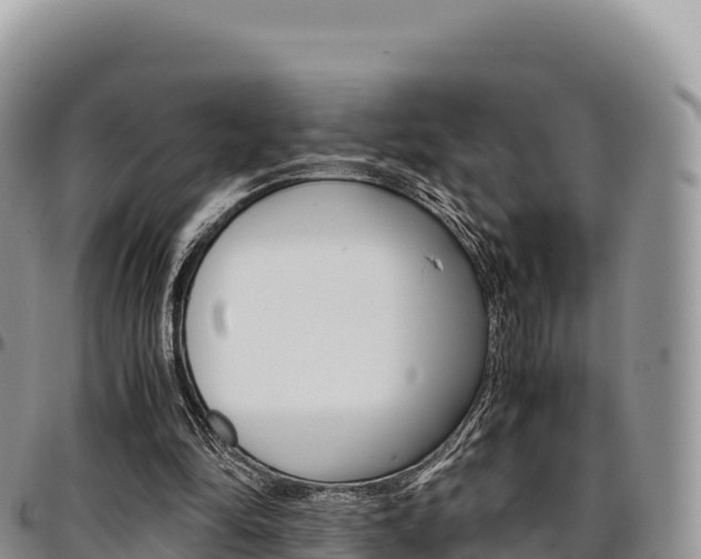 X0000097300294200802151129